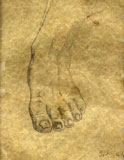 The Foot Drawing